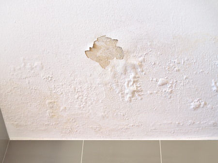 Signs Water-Damaged Drywall Should Be Replaced Right Away